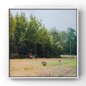 麻豆天美杏吧蜜桃传媒在线播放
